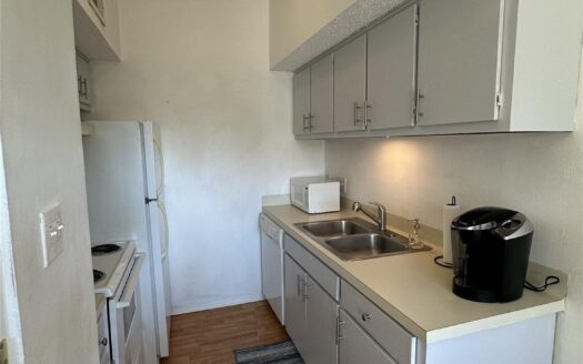 3316 Guadalupe St #306, Austin, TX 78705